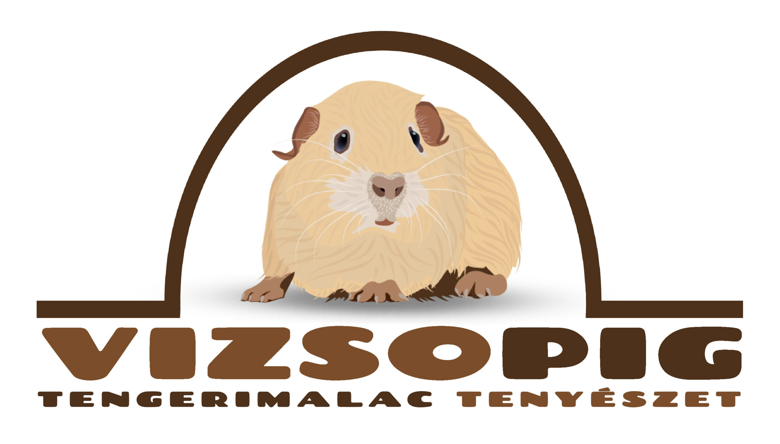 Vizsopig – Tengerimalac tenyészet Debrecen